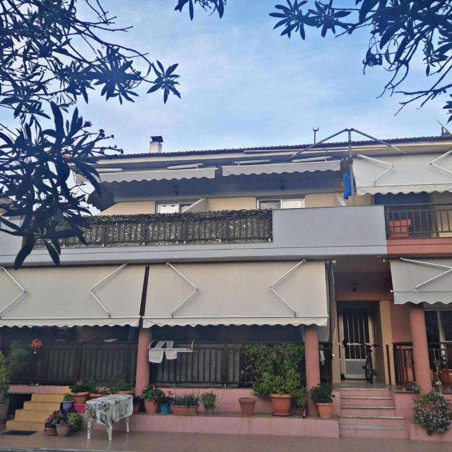 Appartamento Helena House Sarti Esterno foto